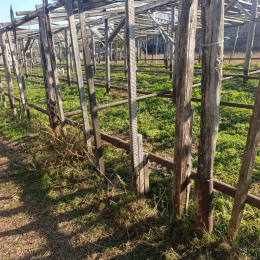 10 sot  torpaq satılır, Maştağa