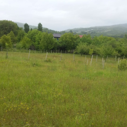 50 sot  torpaq satılır, İsmayıllı rayonu