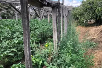 Satılır Torpaq Maştağada 