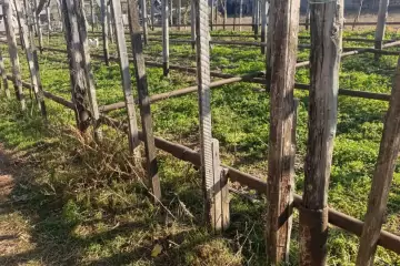 Satılır Torpaq Maştağada 