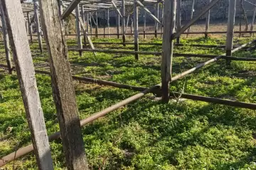 Satılır Torpaq Maştağada 