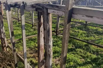 Satılır Torpaq Maştağada 