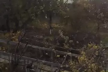 Satılır Bağ Evi Hacı Zeynalabdin Qəsəbəsində 