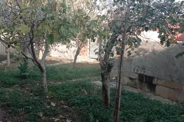 Satılır Həyət Evi Lökbatanda 