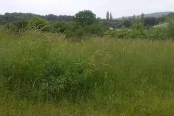 Satılır Torpaq İsmayıllı Rayonunda 