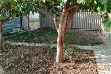 Satılır Həyət Evi Lökbatanda 