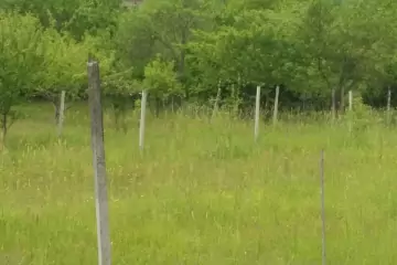 Satılır Torpaq İsmayıllı Rayonunda 