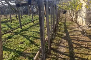 Satılır Torpaq Maştağada 