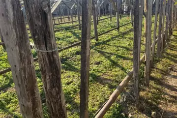 Satılır Torpaq Maştağada 