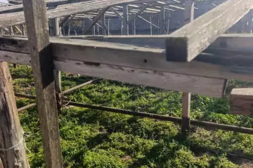 Satılır Torpaq Maştağada 