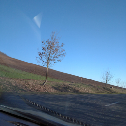 960 sot  torpaq satılır, Zığ