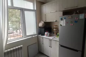 Satılır Köhnə Tikili Kaktusda 