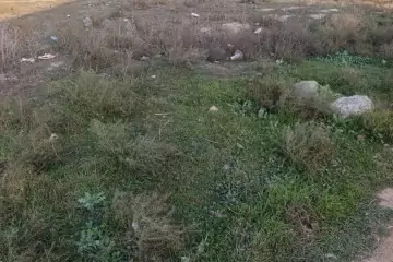 Satılır Torpaq Savalan Qəsəbəsida 