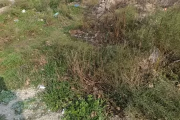 Satılır Torpaq Savalan Qəsəbəsida 