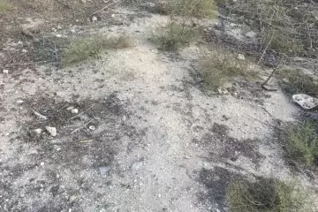 Satılır Torpaq Savalan Qəsəbəsida 