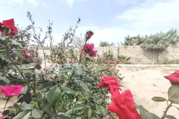 Satılır Həyət Evi Maştağada 