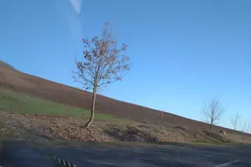 Satılır Torpaq Zığda 