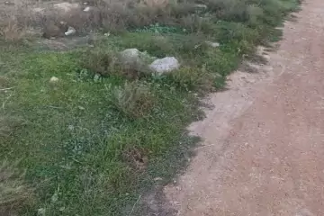 Satılır Torpaq Savalan Qəsəbəsida 