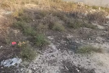 Satılır Torpaq Savalan Qəsəbəsida 