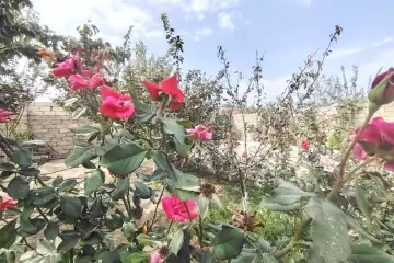 Satılır Həyət Evi Maştağada 