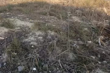 Satılır Torpaq Savalan Qəsəbəsida 