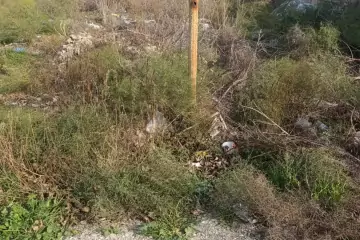 Satılır Torpaq Savalan Qəsəbəsida 