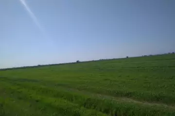 Satılır Torpaq Zığda 