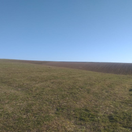 14 sot  torpaq satılır, 20-ci sahə