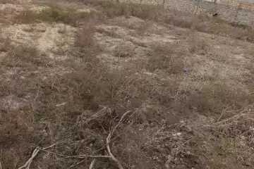 Satılır Torpaq Savalan Qəsəbəsida 