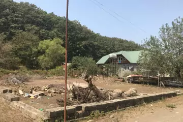 Satılır Torpaq Lənkəranda 